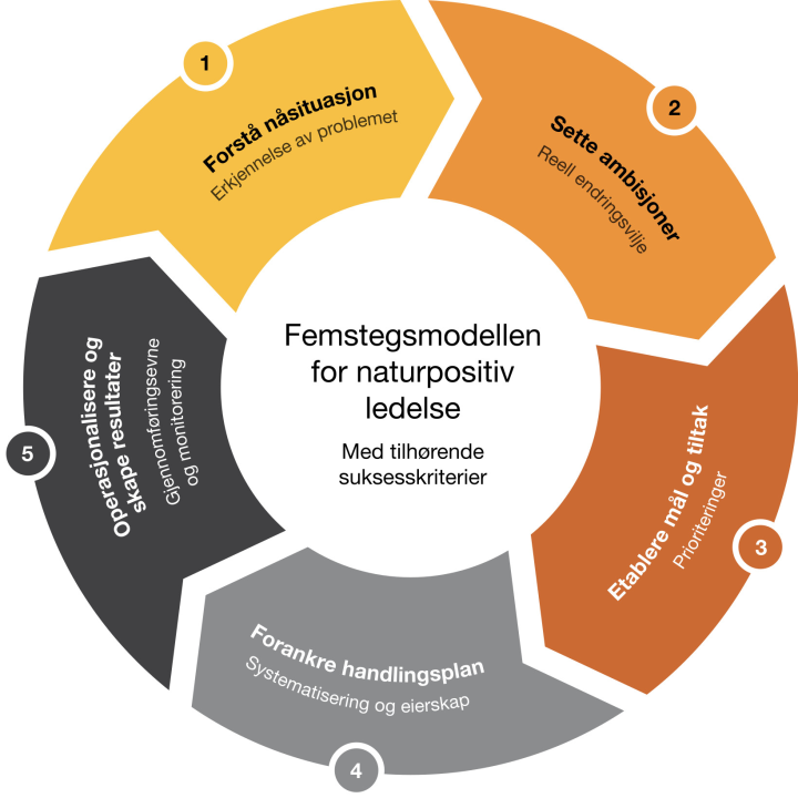 Naturpositiv ledelse femstegsmodellen
