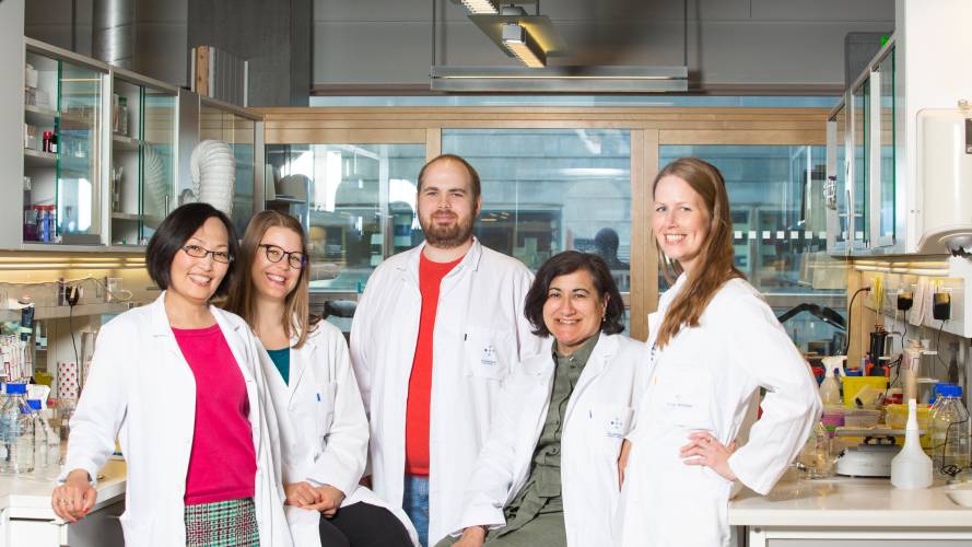 Pluvia er et forskerteam som utvikler en ny medisin for de som lider av Føllings sykdom. Det er Aurora Martinez (nummer to fra høyre), som leder teamet. Foto: Ellen Johanne Jarli