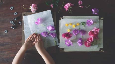 Barnehender presser blomster