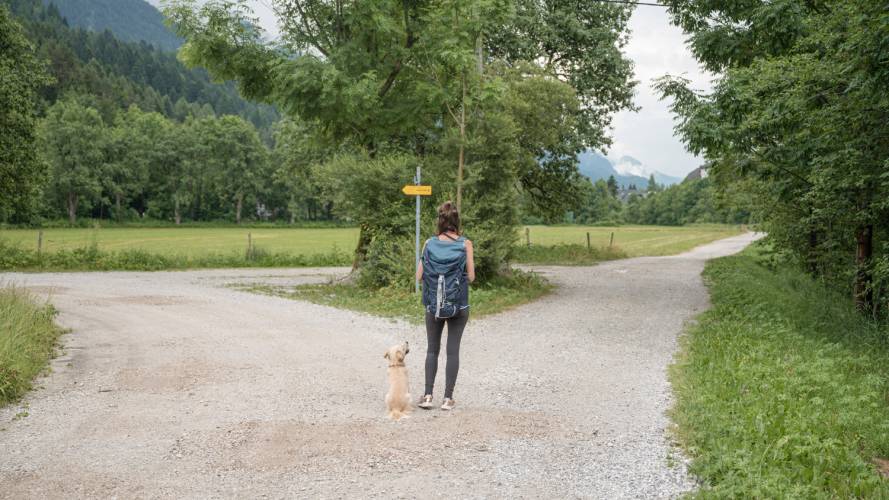 Dame og hund som står sammen på en vei som skiller seg i to