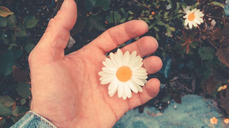 Hånd med blomst