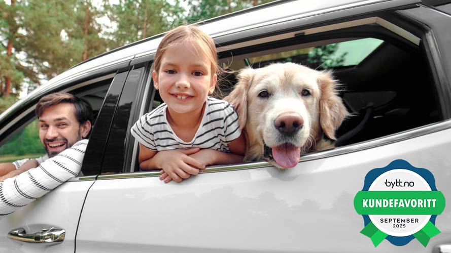 jente_med_hund_i_bil_Kundefavoritt_ByttNO_sept25