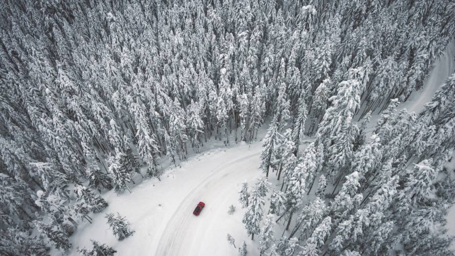 Bil på vintervei gjennom skogen