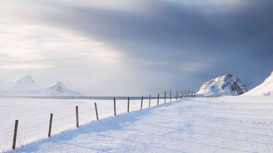 Vidde snø