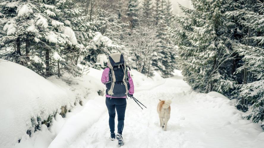 Dame og hund på tur i skogen på vinteren