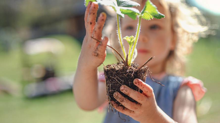 Jente som holder en plante i hendene