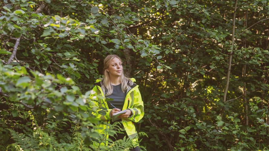 Miljørådgiver med skrivebok i skogholt